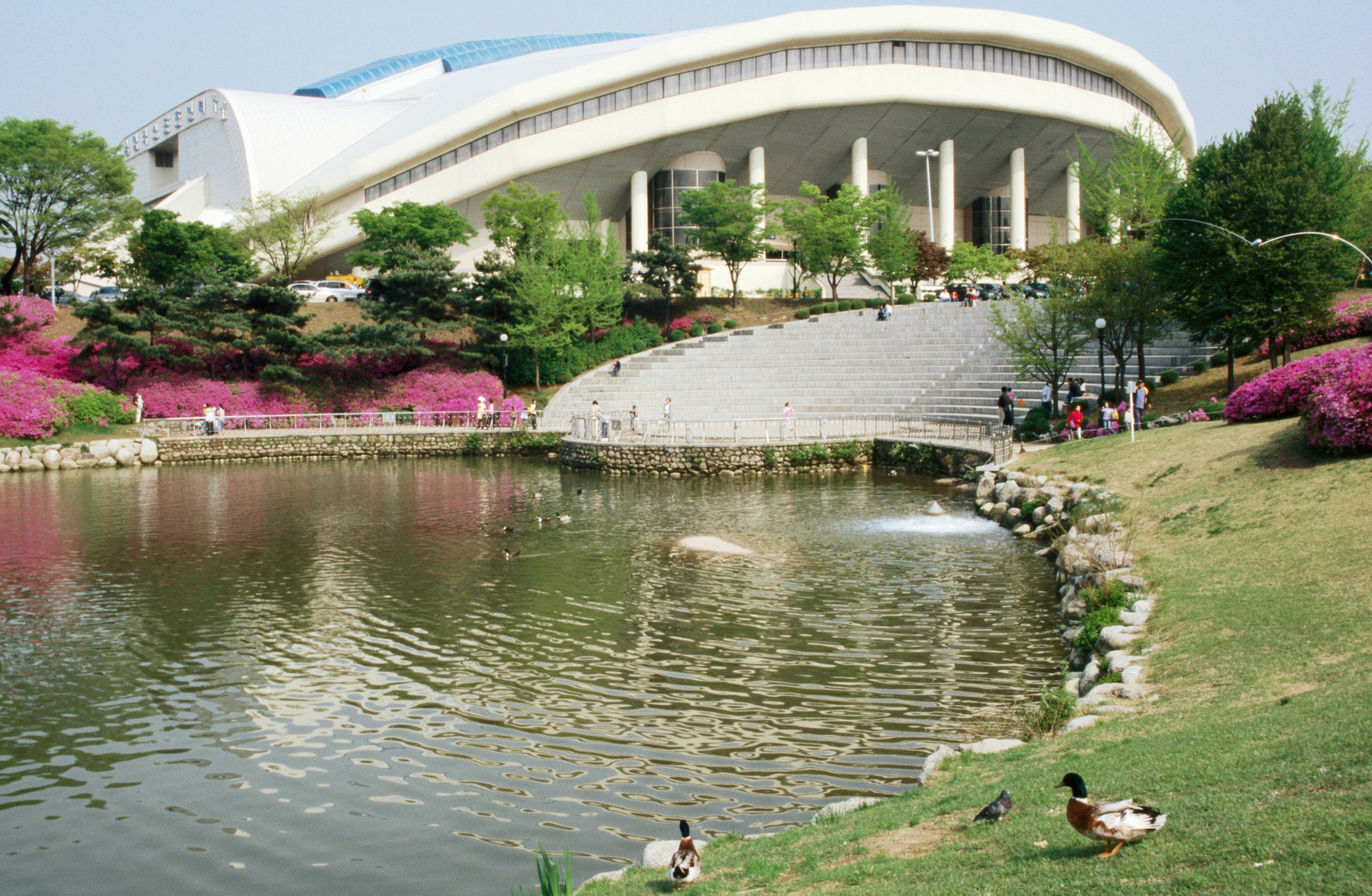 Olympic Park with pond and ducks in foreground.