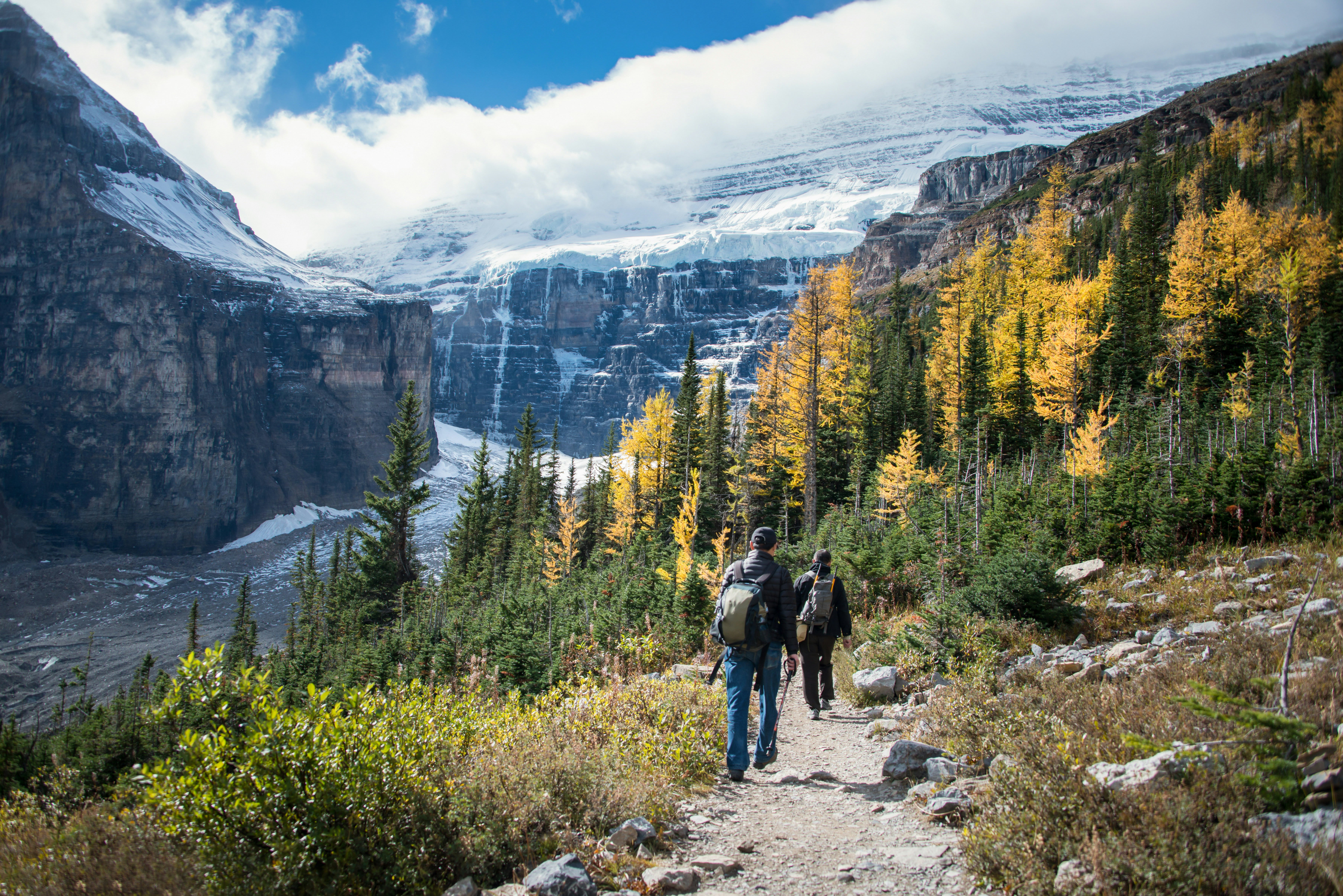 Two hikers walk down a path by aspens with gold foliage. A glacier is visible in the valley below, and snow-capped peaks in the distance.