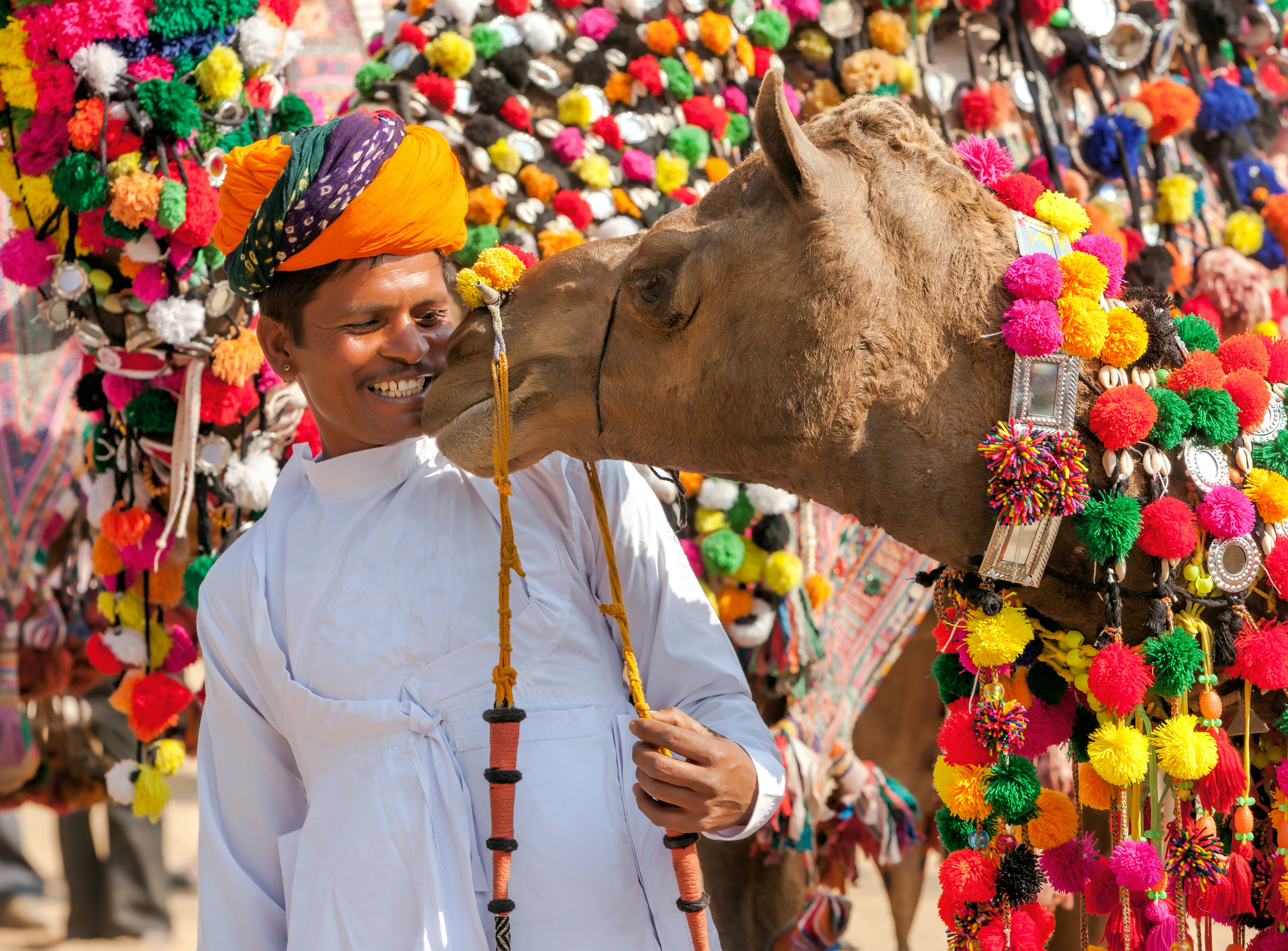 A traditionally decorated camel with its owner at Pushkar's famous camel fair.