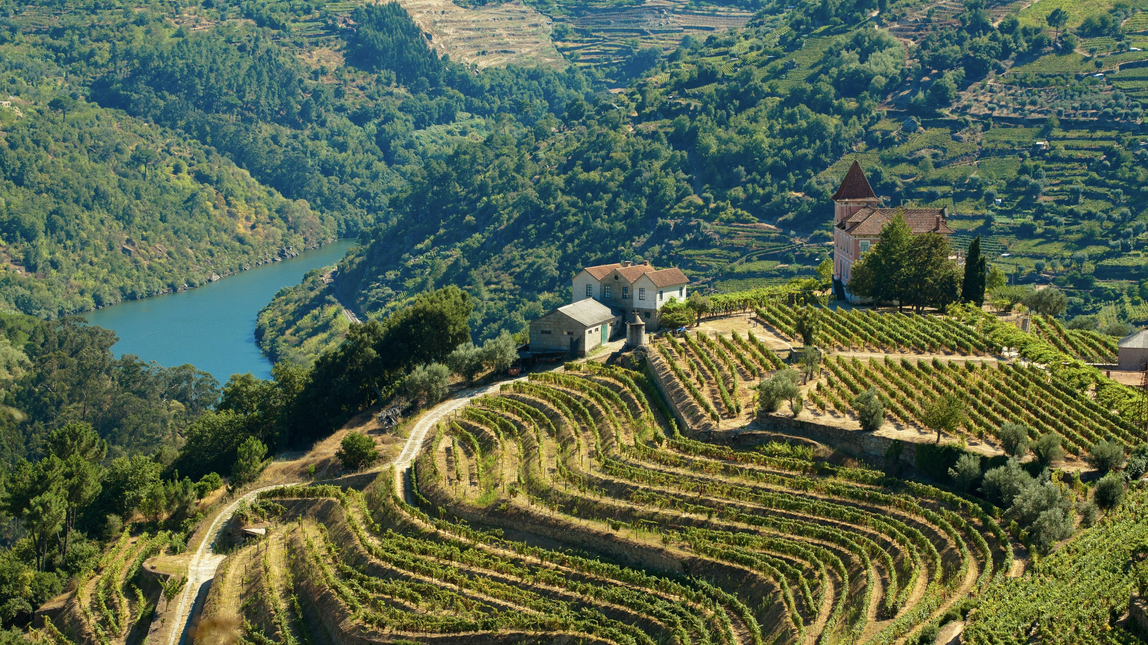 The Douro, Portugal